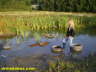 Sandy_scooter_stuck_action_12l