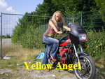 Yellow Angel