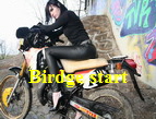Birdge start