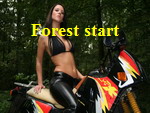 Forest start