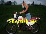Shortish rev